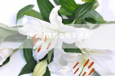 这个游戏怎么按不进去