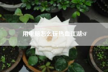 用电脑怎么玩热血江湖SF