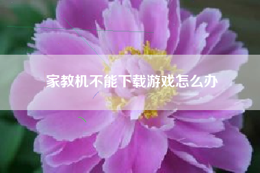 家教机不能下载游戏怎么办