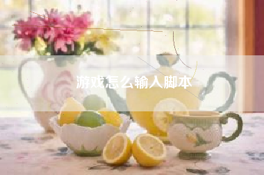 游戏怎么输入脚本