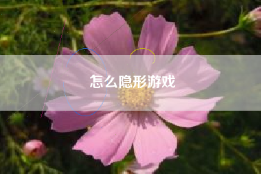 怎么隐形游戏