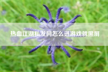 热血江湖私发网怎么进游戏就黑屏