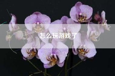 怎么玩游戏了