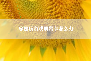 总是玩游戏屏幕卡怎么办