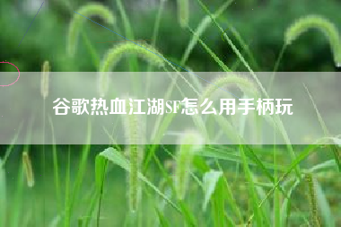 谷歌热血江湖SF怎么用手柄玩
