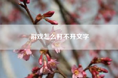 游戏怎么打不开文字