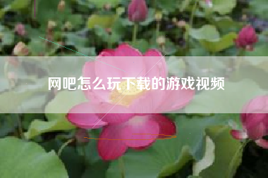 网吧怎么玩下载的游戏视频