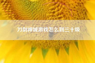 刀剑神城游戏怎么到三十级
