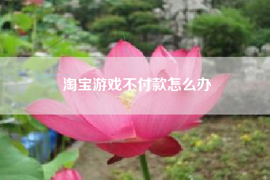 淘宝游戏不付款怎么办