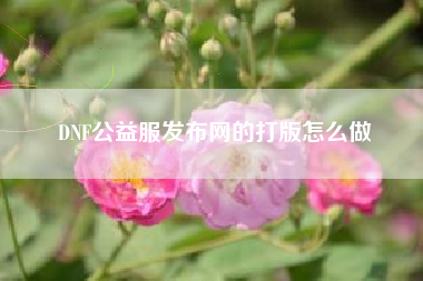 DNF公益服发布网的打版怎么做