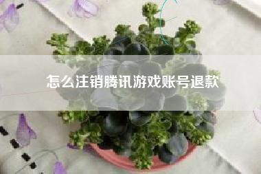 怎么注销腾讯游戏账号退款