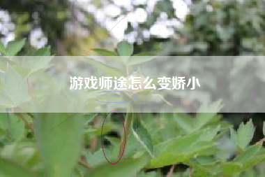 游戏师途怎么变娇小