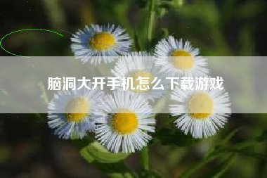脑洞大开手机怎么下载游戏