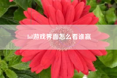 lol游戏界面怎么看谁赢