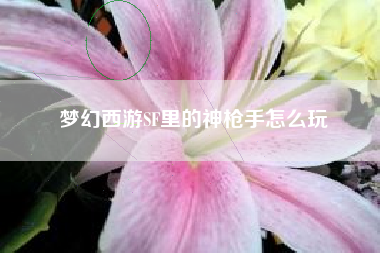梦幻西游SF里的神枪手怎么玩