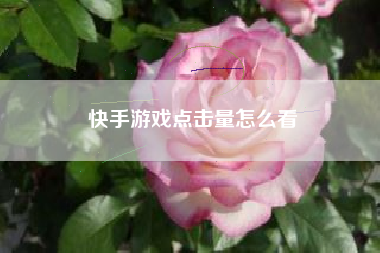 快手游戏点击量怎么看