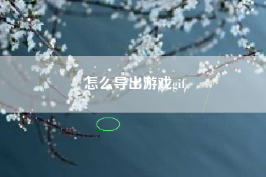 怎么导出游戏gif