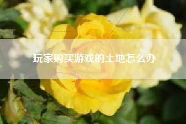 玩家购买游戏的土地怎么办