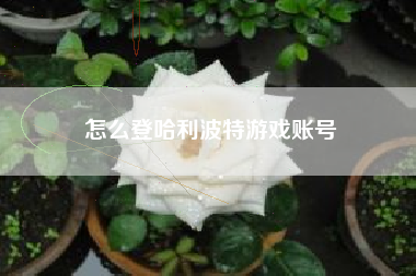 怎么登哈利波特游戏账号