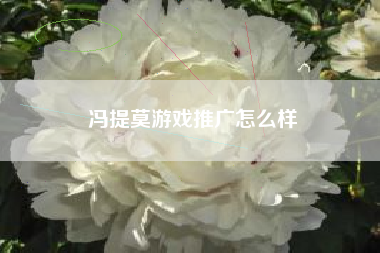 冯提莫游戏推广怎么样