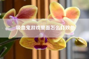 吸血鬼游戏里面怎么打败他