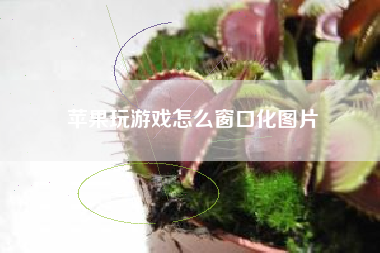苹果玩游戏怎么窗口化图片