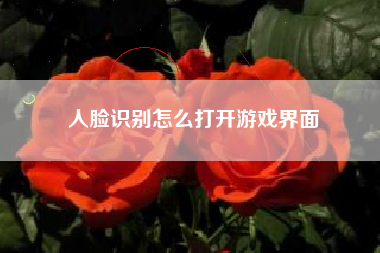 人脸识别怎么打开游戏界面