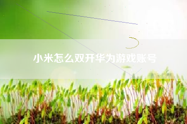 小米怎么双开华为游戏账号