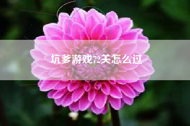坑爹游戏72关怎么过