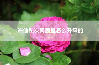 诛仙私发网质量怎么升级的