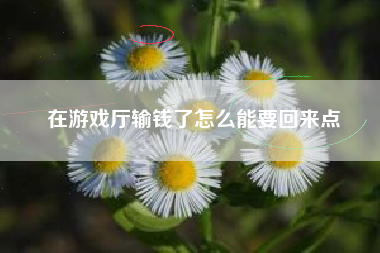 在游戏厅输钱了怎么能要回来点