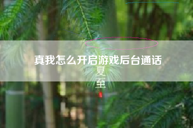 真我怎么开启游戏后台通话