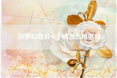 玩梦幻西游SF手柄怎么用电脑