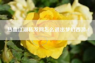 热血江湖私发网怎么退出梦幻西游sf