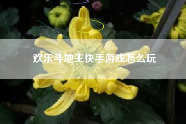 欢乐斗地主快手游戏怎么玩