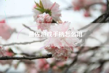 蓝佐游戏手柄怎么用