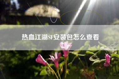 热血江湖SF安装包怎么查看