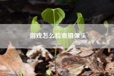 游戏怎么检查摄像头