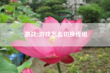 激战2游戏怎么切换线组