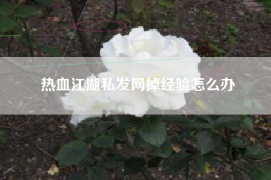 热血江湖私发网掉经验怎么办