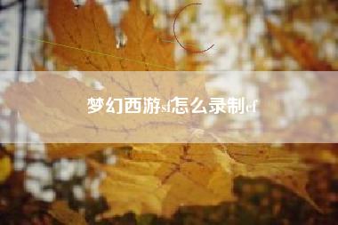 梦幻西游sf怎么录制cf