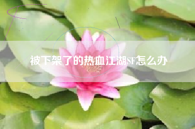 被下架了的热血江湖SF怎么办