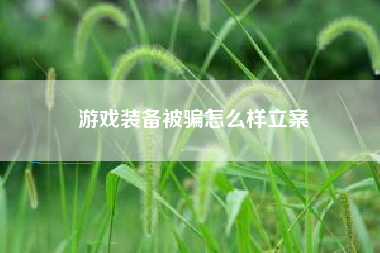 游戏装备被骗怎么样立案