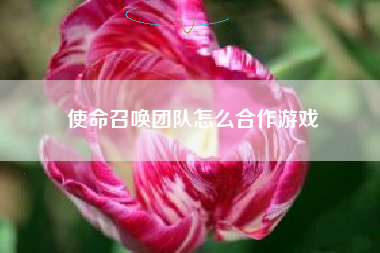 使命召唤团队怎么合作游戏