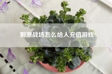 刺激战场怎么给人充值游戏