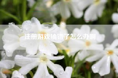 注册游戏输错了怎么办啊