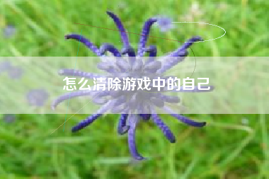 怎么清除游戏中的自己