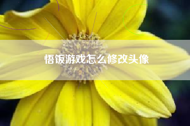 悟饭游戏怎么修改头像