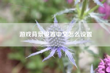 游戏背景设置中文怎么设置