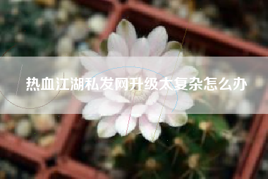 热血江湖私发网升级太复杂怎么办
